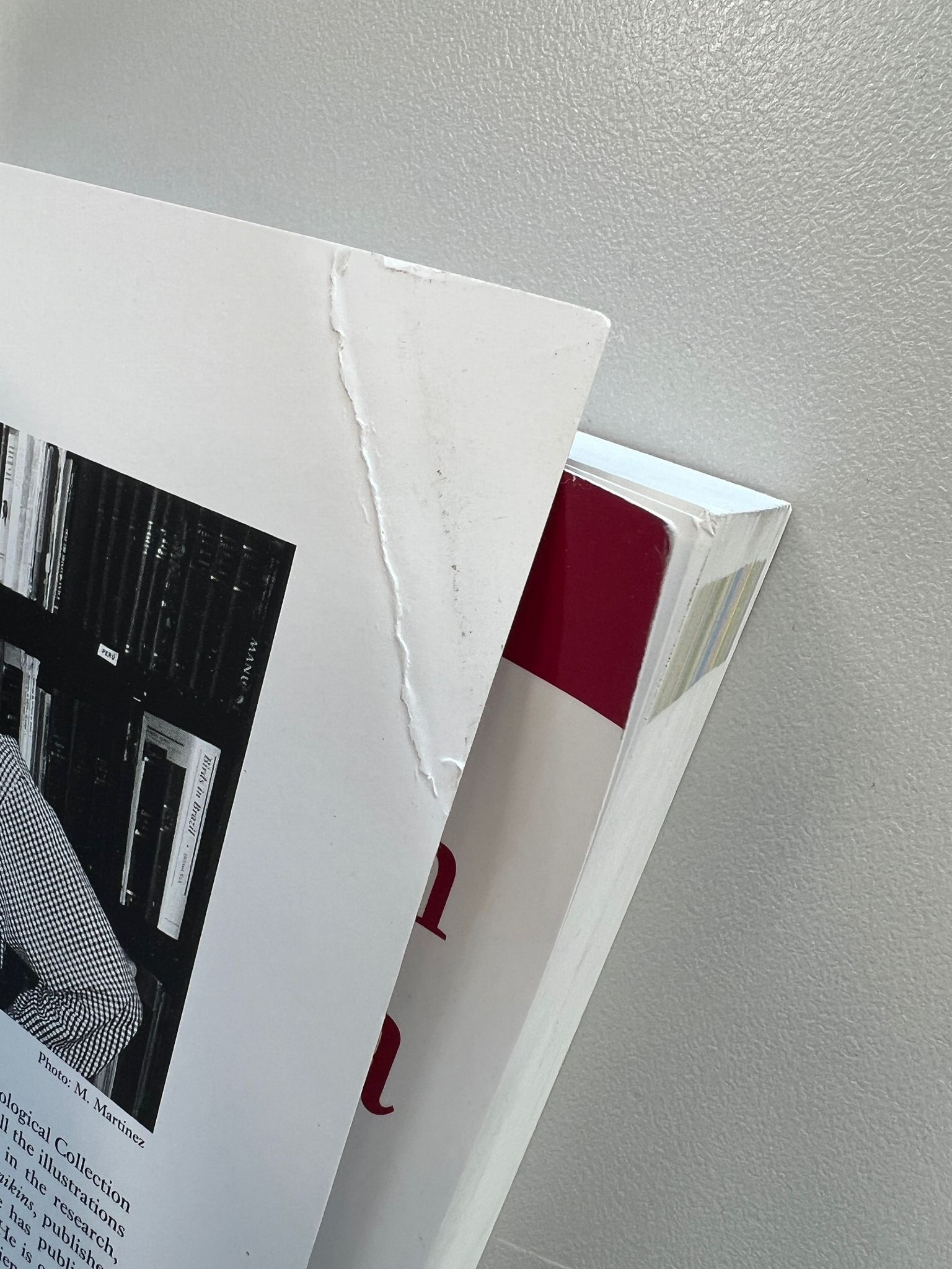 Damaged copy - Birds of Northern South America, Volume 2: Plates and Maps - An Identification Guide