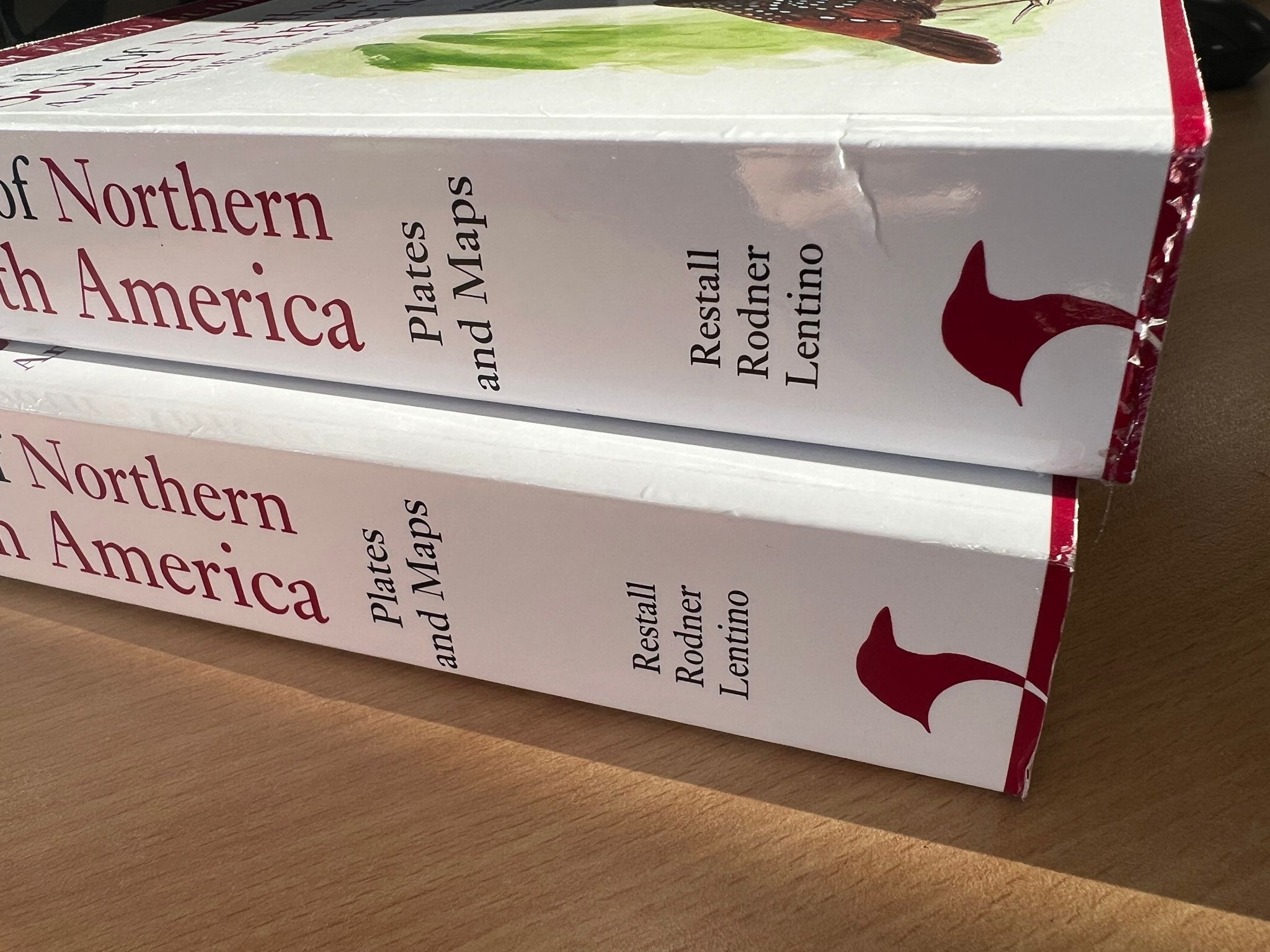 Damaged copy - Birds of Northern South America, Volume 2: Plates and Maps - An Identification Guide