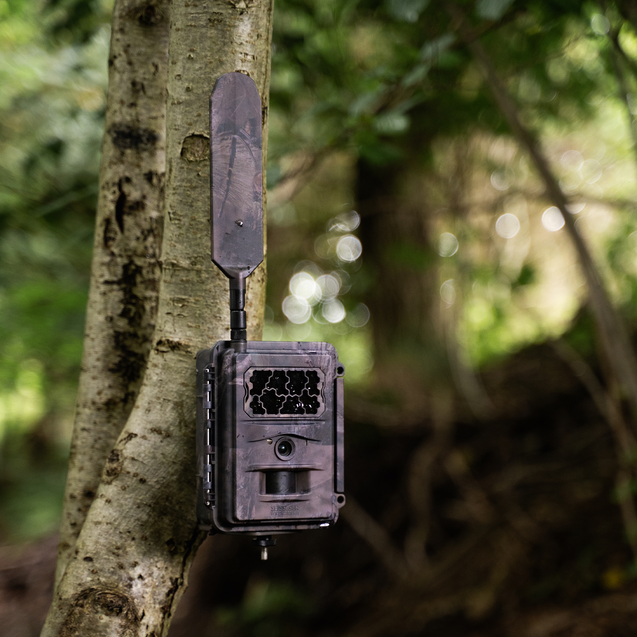 Seissiger Trail Camera Base-Cam LTE - SUPERSIM-Edition