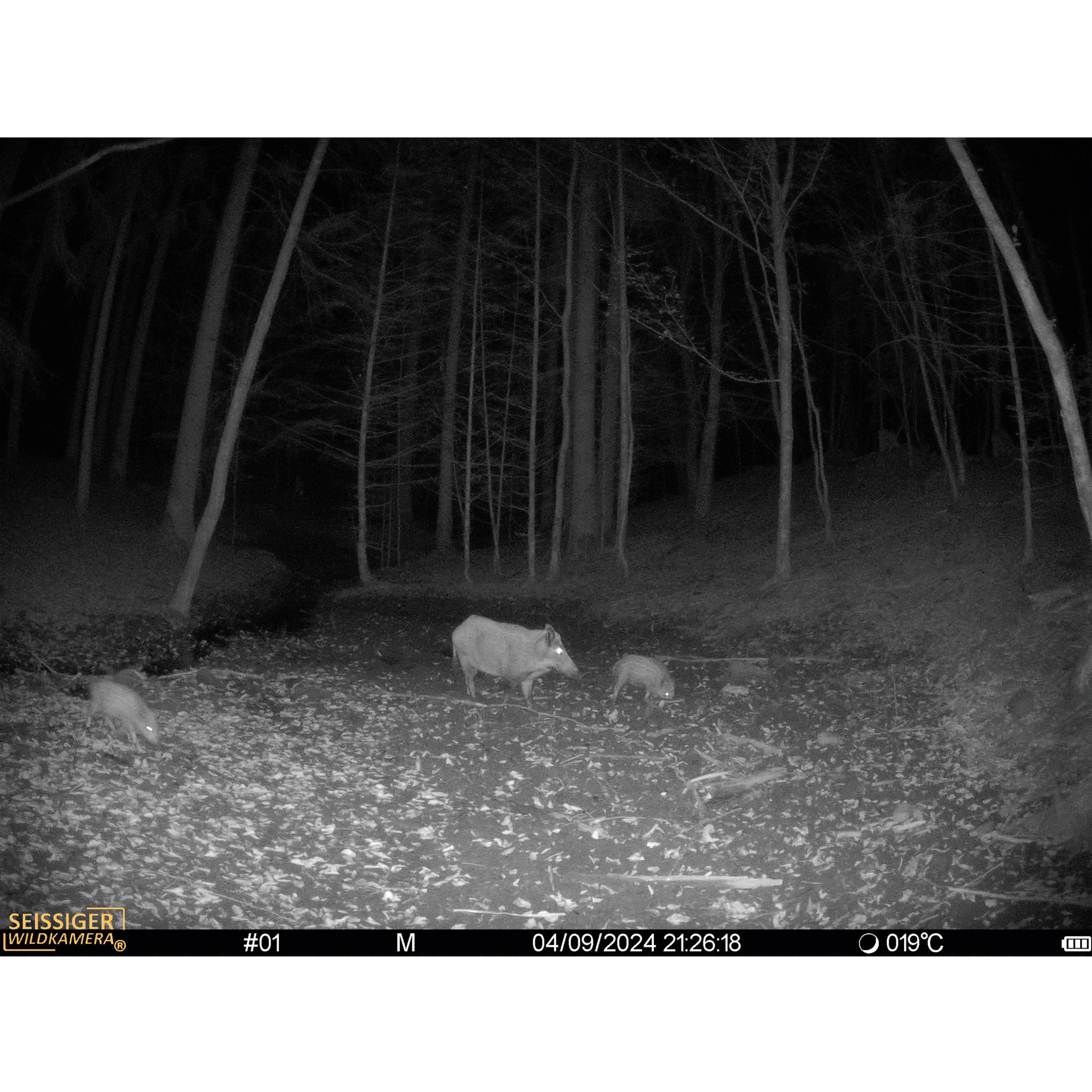 Seissiger Trail Camera Mini-Cam