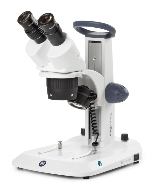 Euromex StereoBlue Binocular Stereo Microscope 20x/40x