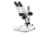 Euromex StereoBlue Binocular Stereo Microscope, 20x/40x, Pillar Stand