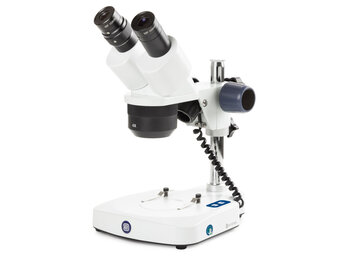Euromex EduBlue Binocular Stereo Microscope Pillar Stand 20x/40x