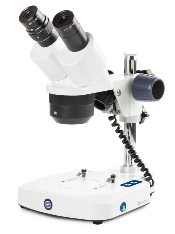 Euromex EduBlue Binokulares Stereomikroskop Säulestativ 20x/40x