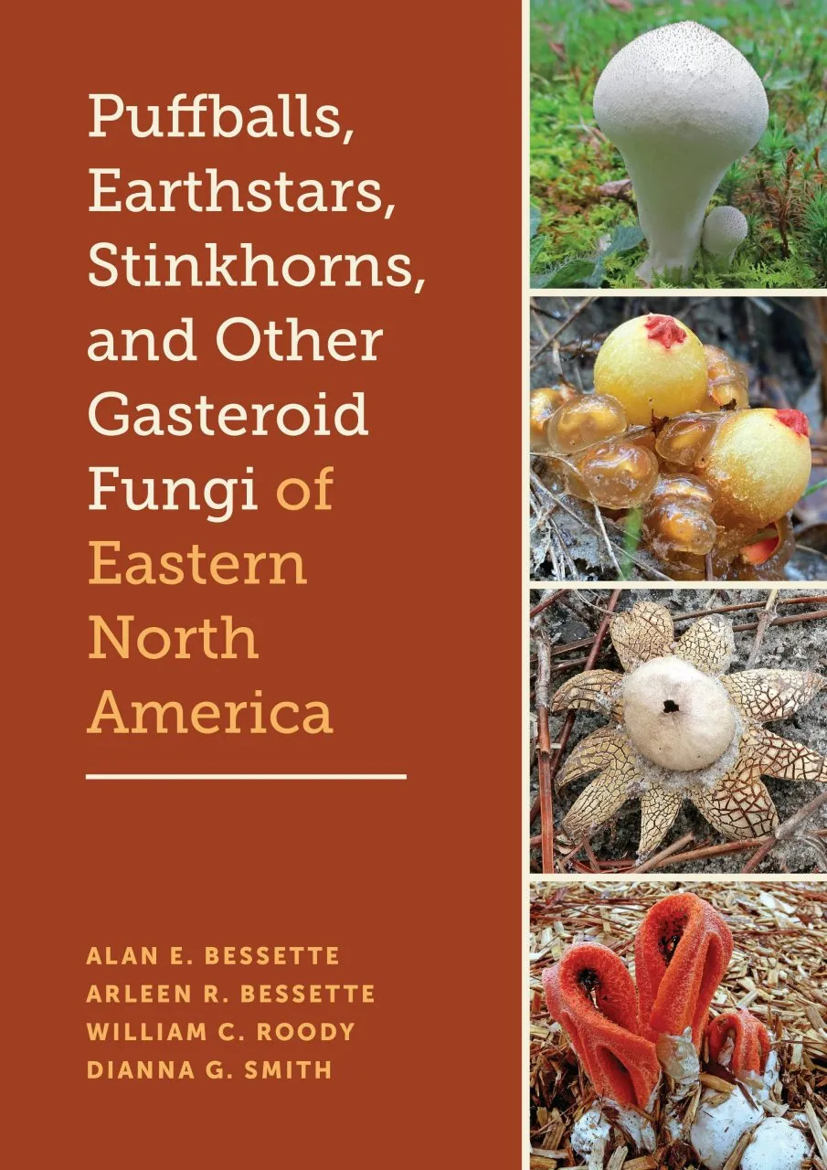Puffballs, Earthstars, Stinkhorns, and Other Gasteroid Fungi of Eastern North America
