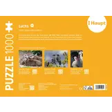Luchs – Puzzle