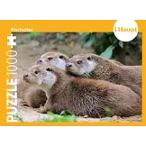 Otter - Puzzel