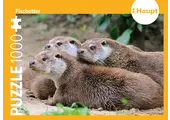 Fischotter – Puzzle