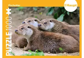 Fischotter – Puzzle