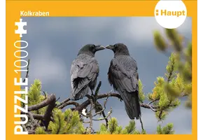 Kolkraben – Puzzle