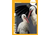 Stork – Puzzle
