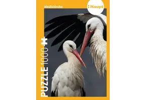 Weißstörche – Puzzle
