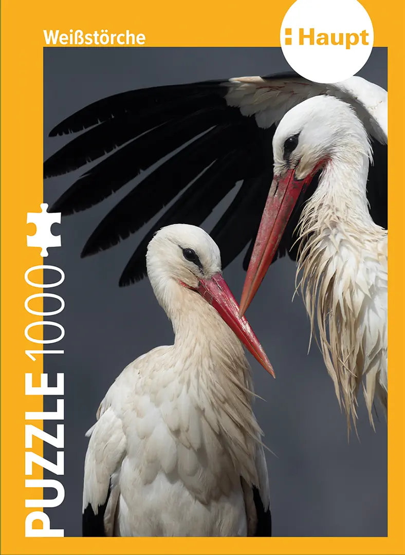 Stork – Puzzle