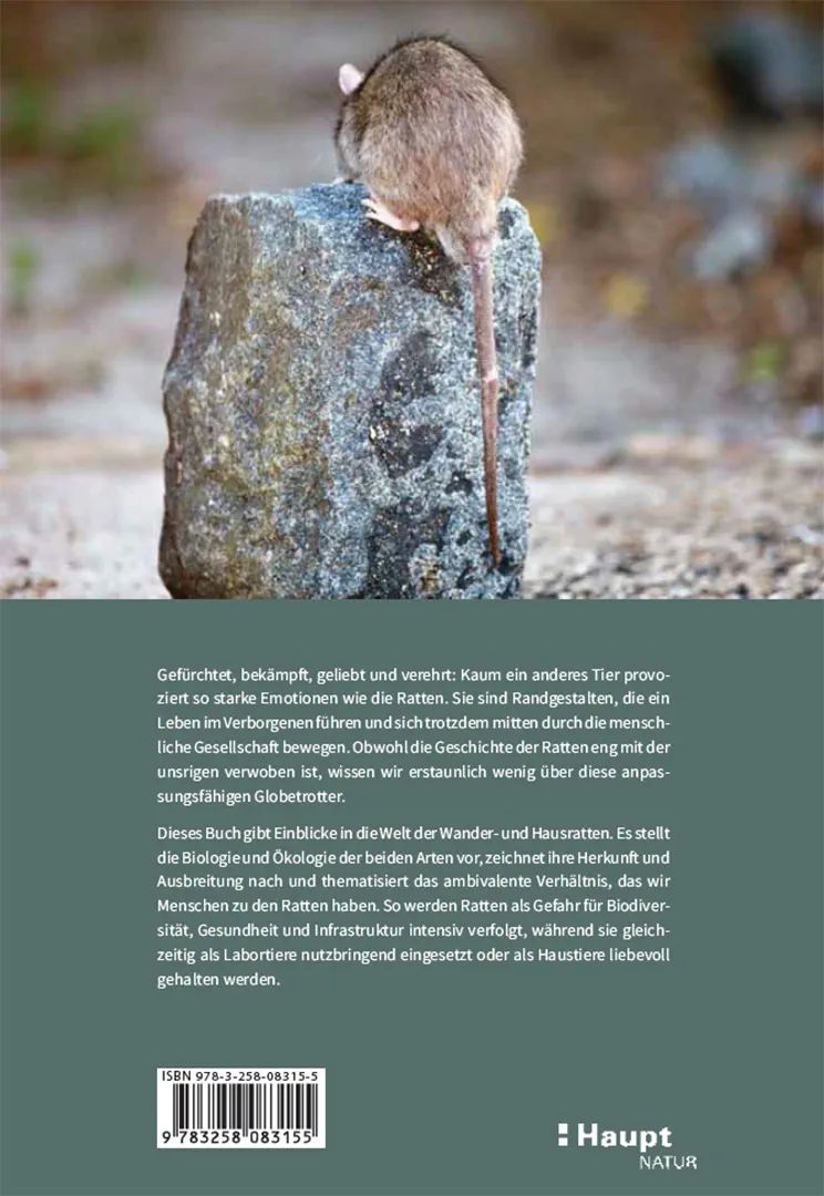 Ratten - Clevere Wildtiere in unserer Nähe