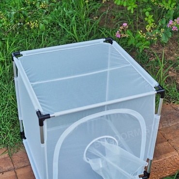 Bugdorm 6E610 Insect Rearing Cage