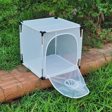 Bugdorm 6E610 Insect Rearing Cage