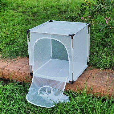 Bugdorm 6E610 Insectenkweekkooi