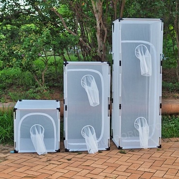 Bugdorm 6E610 Insect Rearing Cage