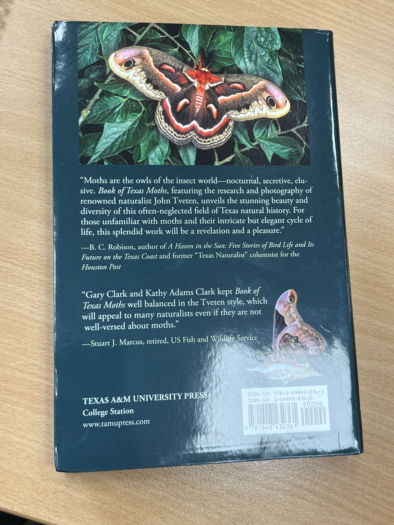 Beschadigd exemplaar - Book of Texas Moths