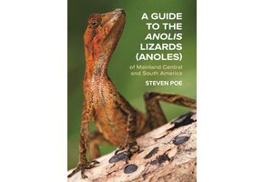 A Guide to the Anolis Lizards (Anoles) of Mainland Central and South America