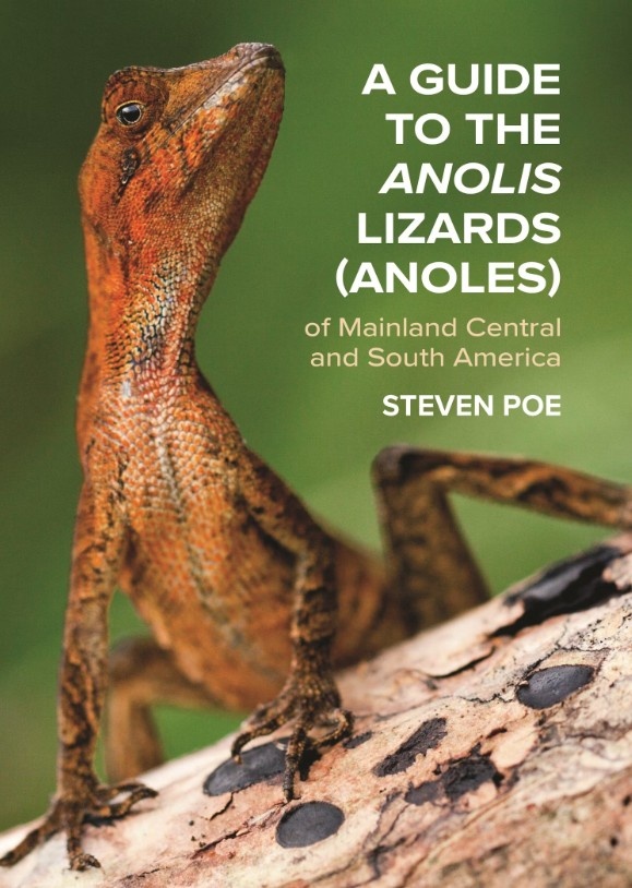 A Guide to the Anolis Lizards (Anoles) of Mainland Central and South America
