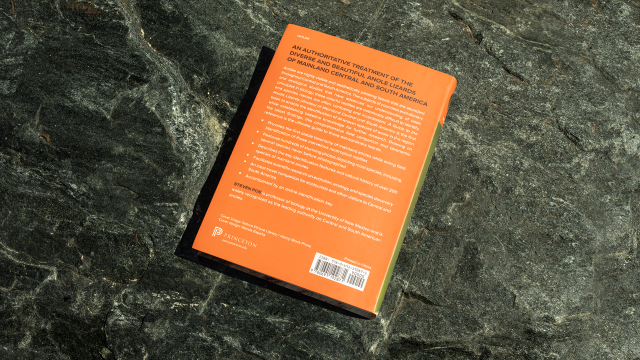 A Guide to the Anolis Lizards (Anoles) of Mainland Central and South America