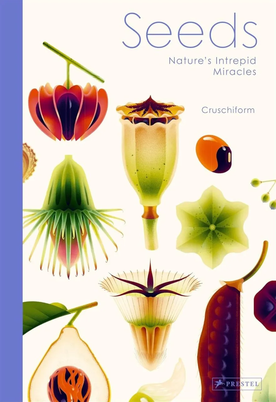 Seeds - Nature's Intrepid Miracles