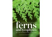 Identification Guide to the Ferns and Lycophytes of Aotearoa New Zealand