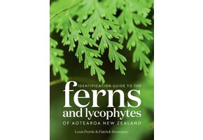 Identification Guide to the Ferns and Lycophytes of Aotearoa New Zealand