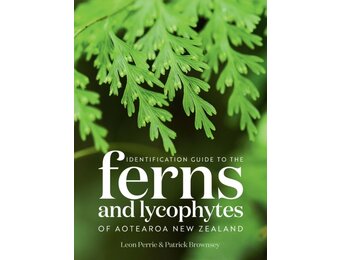 Identification Guide to the Ferns and Lycophytes of Aotearoa New Zealand