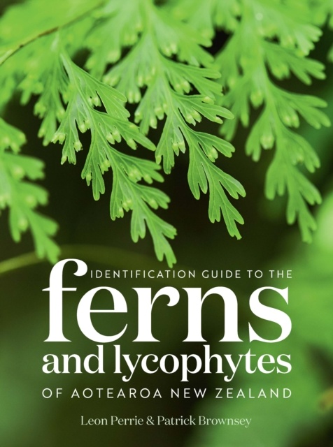 Identification Guide to the Ferns and Lycophytes of Aotearoa New Zealand