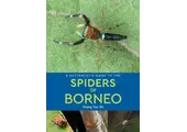 A Naturalist's Guide to the Spiders of Borneo
