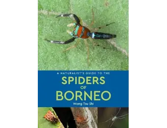 A Naturalist's Guide to the Spiders of Borneo