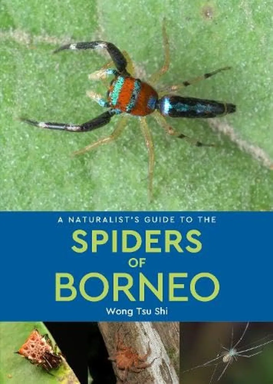 A Naturalist's Guide to the Spiders of Borneo