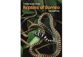 A Field Guide to the Reptiles of Borneo
