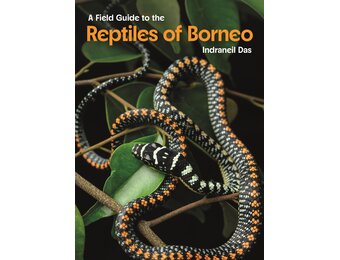 A Field Guide to the Reptiles of Borneo