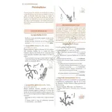 Flore Illustrée du Burkina Faso et du Mali