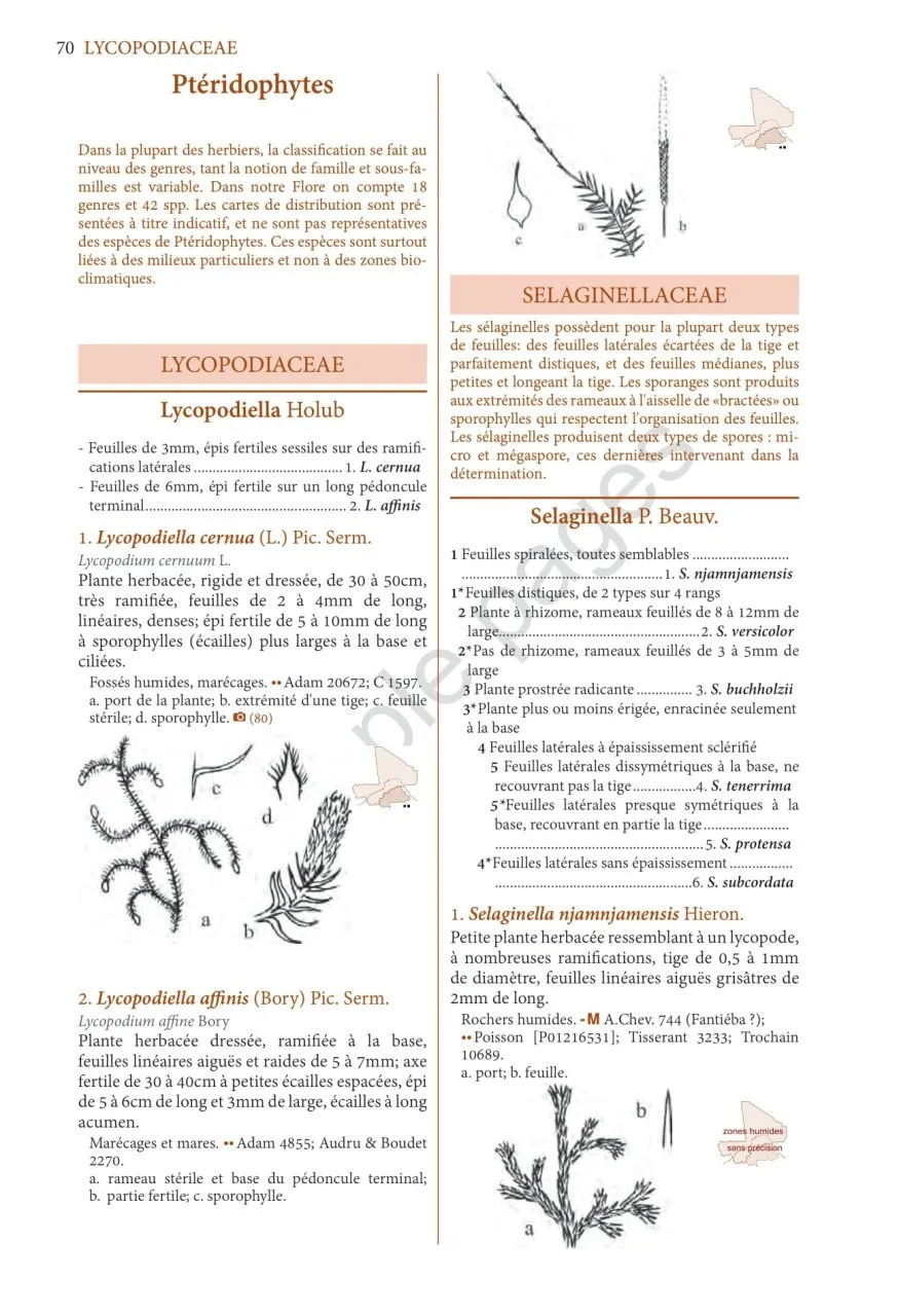 Flore Illustrée du Burkina Faso et du Mali