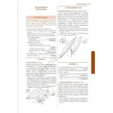 Flore Illustrée du Burkina Faso et du Mali