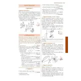 Flore Illustrée du Burkina Faso et du Mali