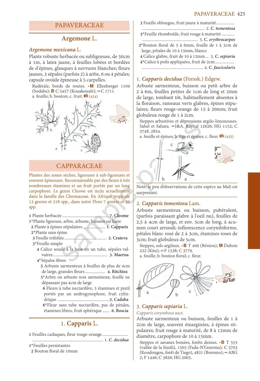 Flore Illustrée du Burkina Faso et du Mali