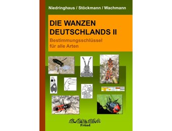 Die Wanzen Deutschlands Teil 2