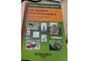 Damaged copy - Die Wanzen Deutschlands Teil 2