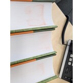 Beschädigte Kopie - Die Wanzen Deutschlands Teil 2 - Bestimmungsschlüssel für alle Arten