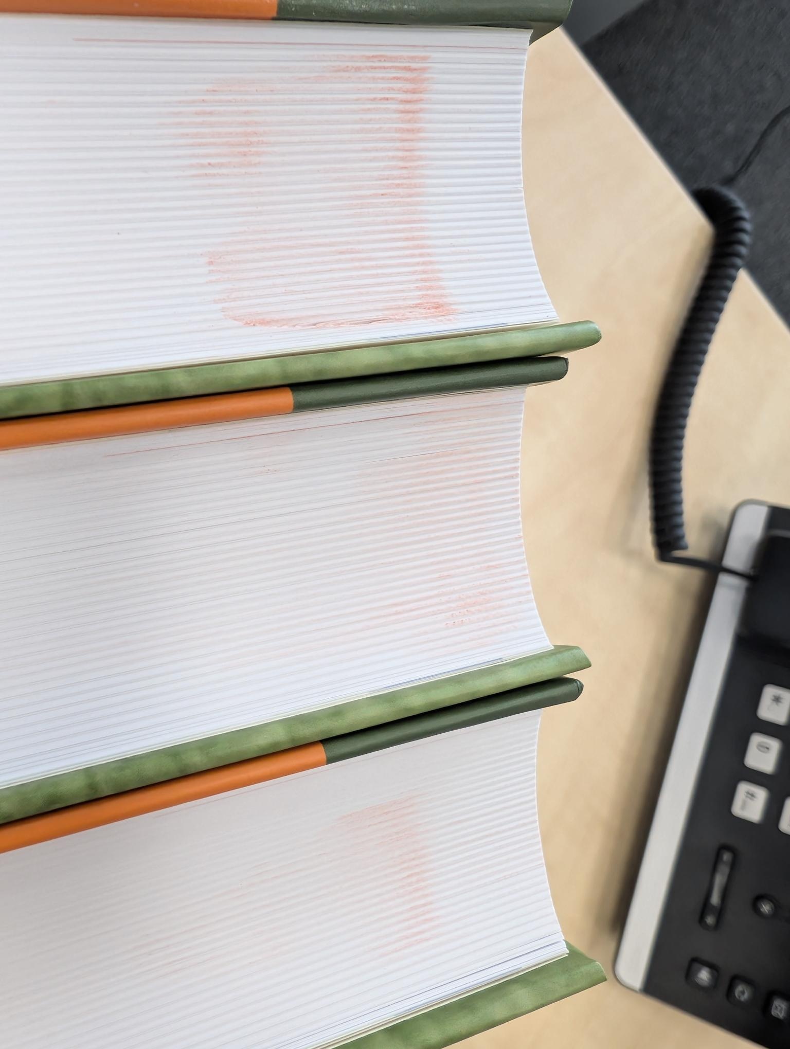 Damaged copy - Die Wanzen Deutschlands Teil 2 - Bestimmungsschlüssel für alle Arten