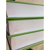 Damaged copy - Die Wanzen Deutschlands Teil 2 - Bestimmungsschlüssel für alle Arten