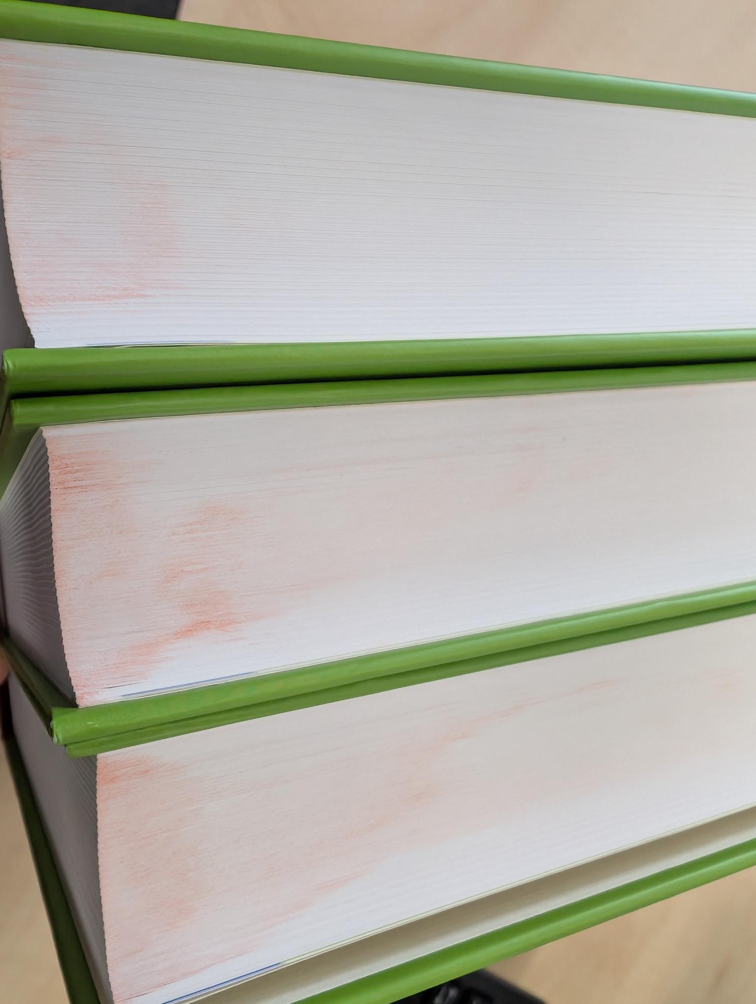 Beschädigte Kopie - Die Wanzen Deutschlands Teil 2 - Bestimmungsschlüssel für alle Arten