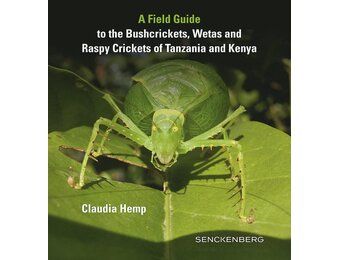 A Field Guide to the Bushcrickets, Wetas and Raspy Crickets of Tanzania and Kenya