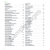 A Field Guide to the Bushcrickets, Wetas and Raspy Crickets of Tanzania and Kenya