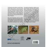 A Field Guide to the Bushcrickets, Wetas and Raspy Crickets of Tanzania and Kenya